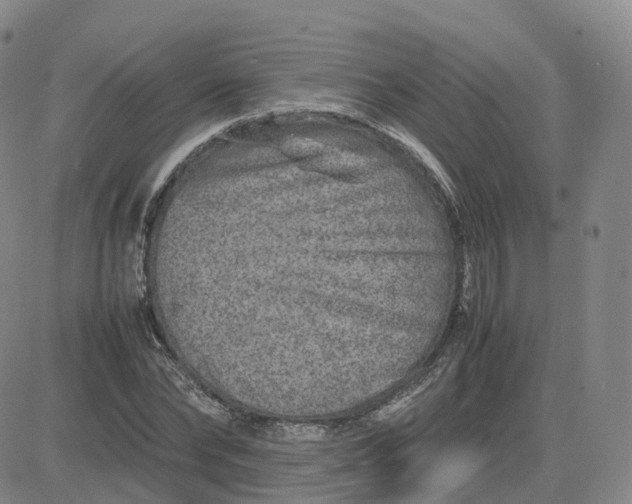 X0000083600878200702231744