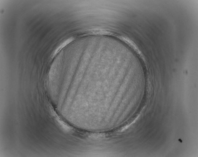 X0000083600889200702231743