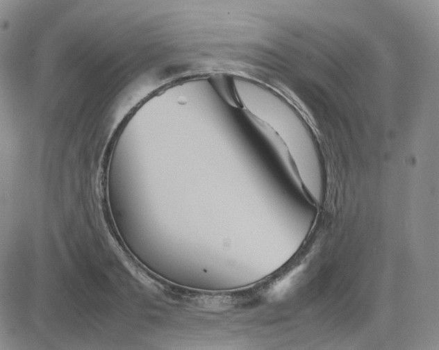 X0000083600893200702231743