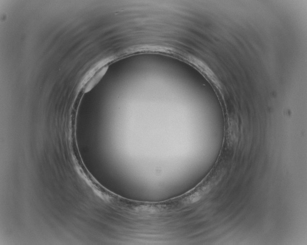 X0000083600898200702231743