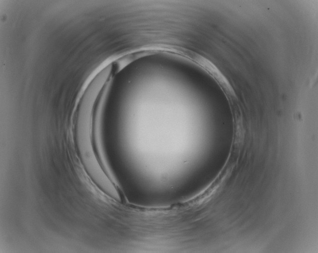 X0000083600908200702231743