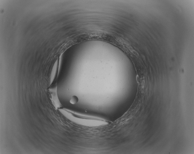 X0000083600916200702231742