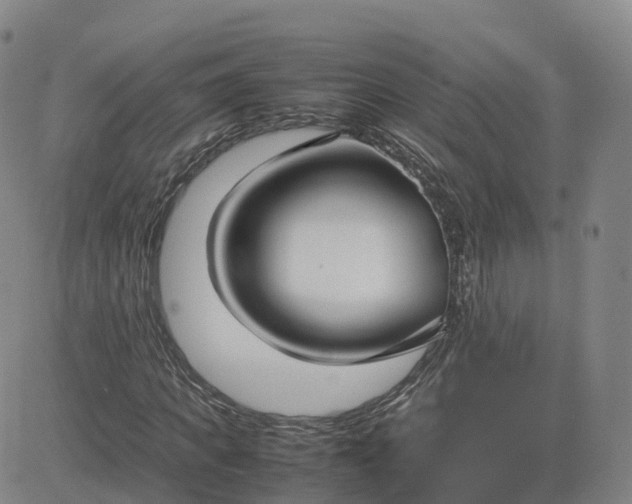 X0000083600917200702231742