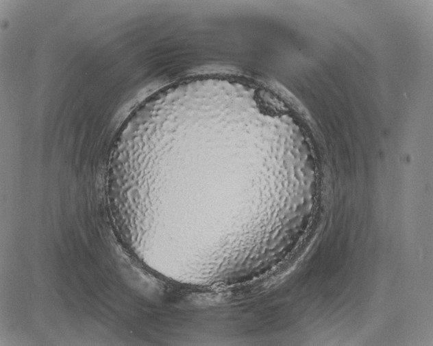 X0000083600937200702231743