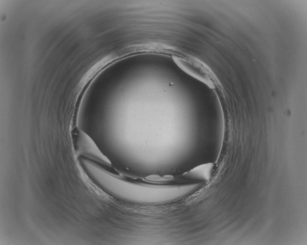 X0000083600946200702231743