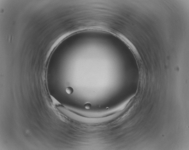 X0000083600956200702231743