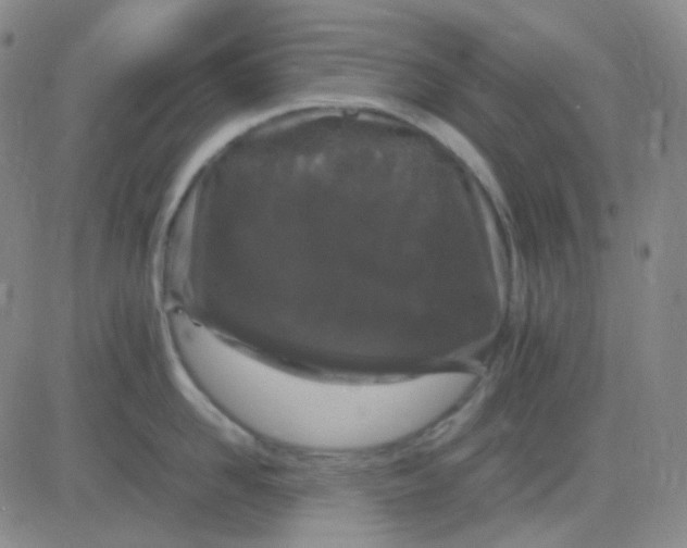 X0000083600958200702231743