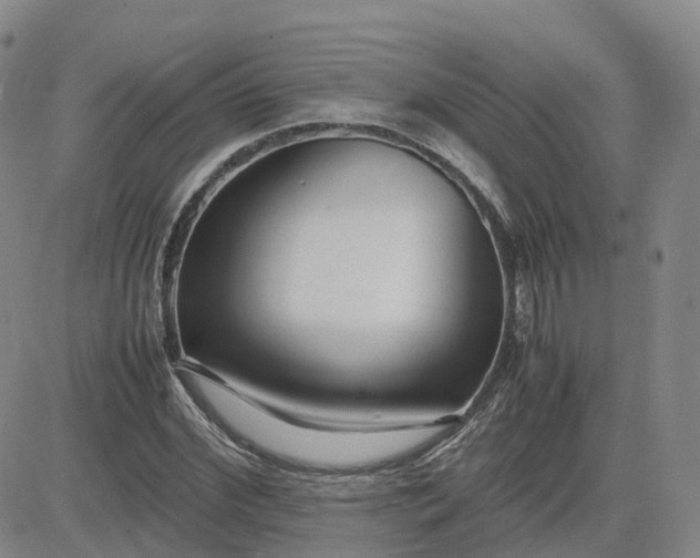 X0000083600972200702231742