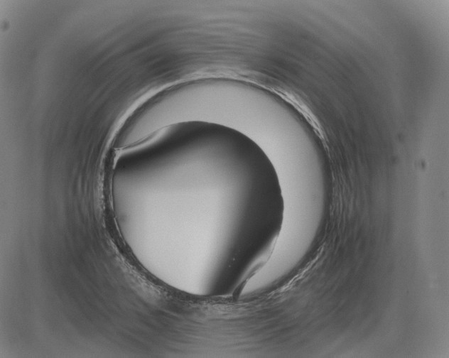 X0000083600976200702231742