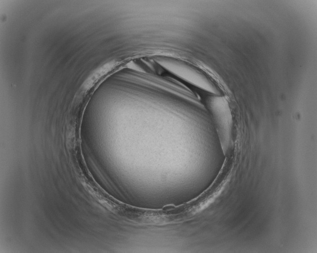 X0000083600977200702231742