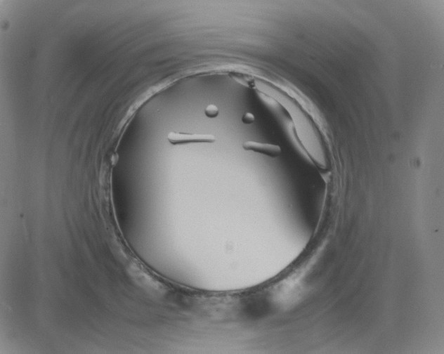 X0000083601001200702231742