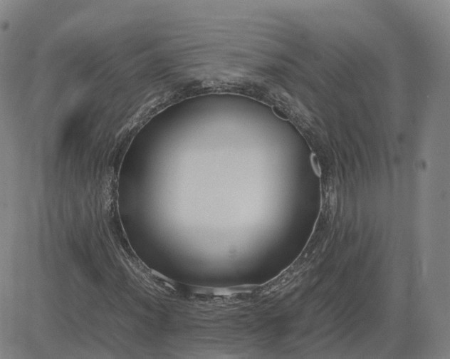 X0000083601012200702231741