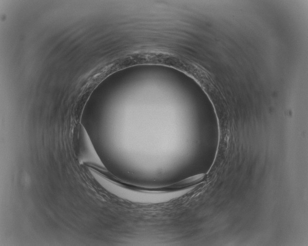 X0000083601014200702231741