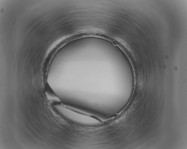 X0000083601022200702231741