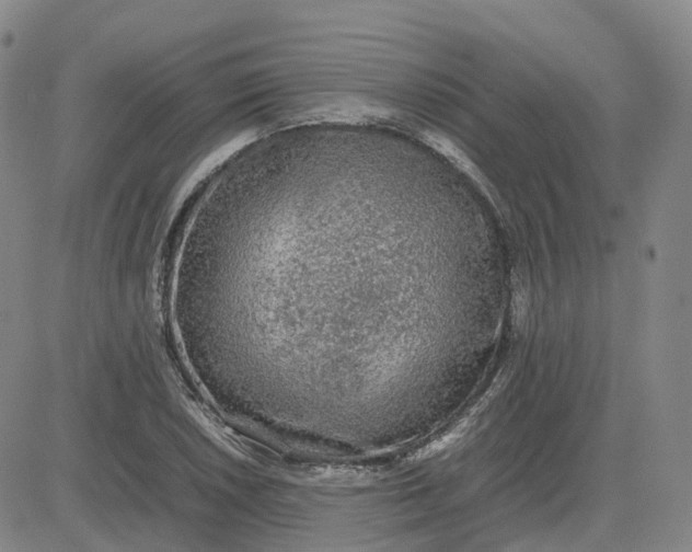 X0000083601026200702231741