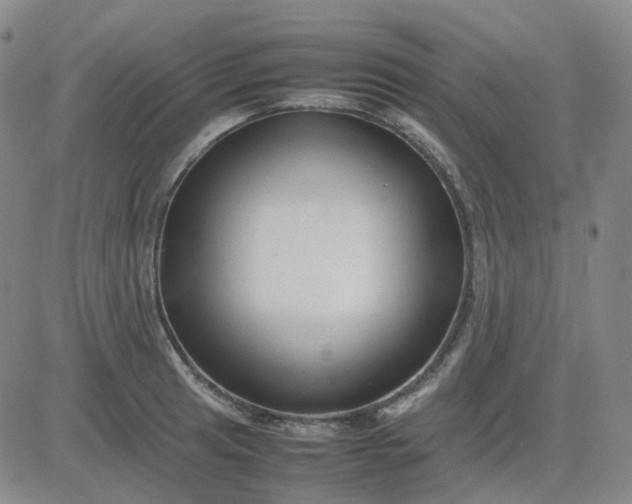 X0000083601041200702231741