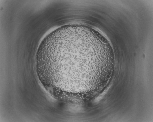 X0000083601045200702231741