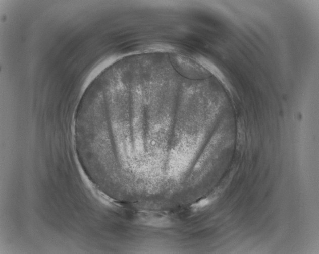 X0000083601047200702231741