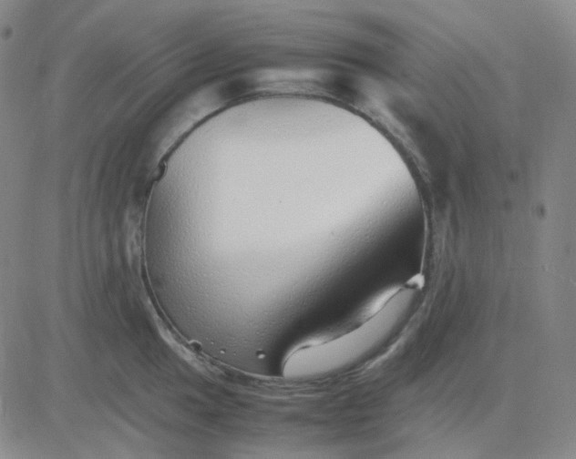 X0000083601049200702231741