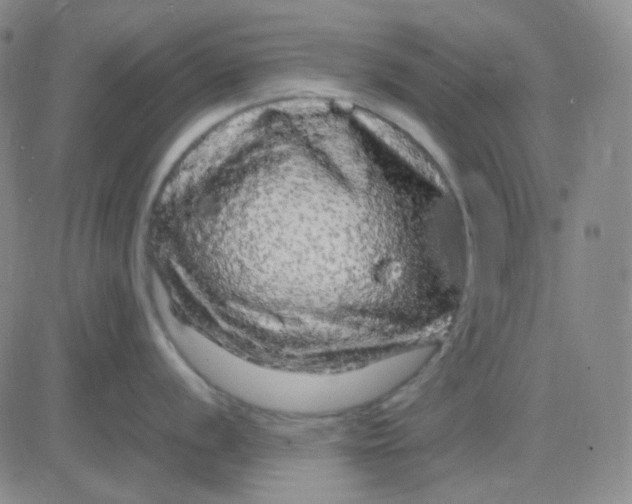 X0000083601056200702231741