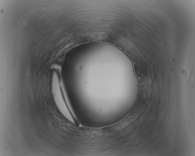 X0000083601058200702231741