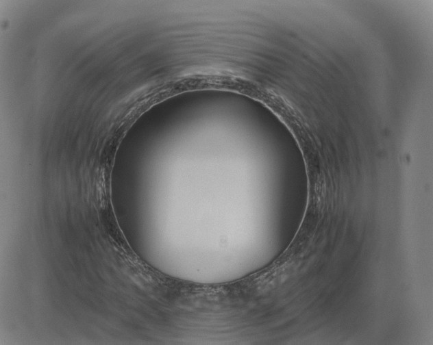 X0000083601062200702231741