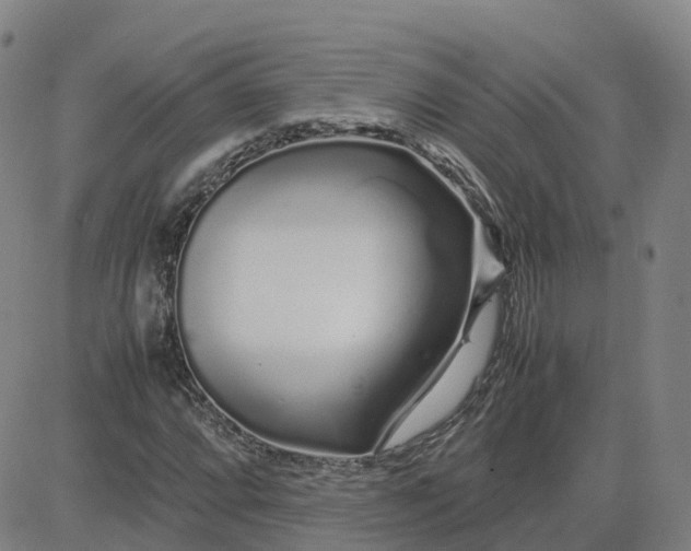 X0000083601064200702231741