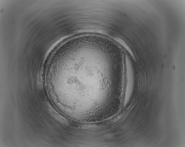 X0000083601068200702231740