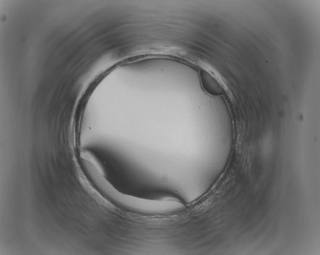 X0000083601080200702231740