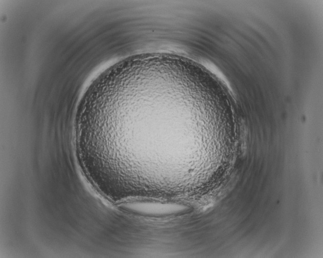 X0000083601088200702231740