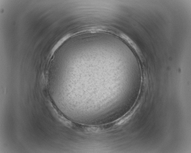 X0000083601097200702231740