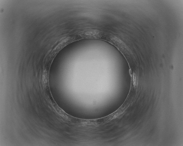 X0000083601107200702231739