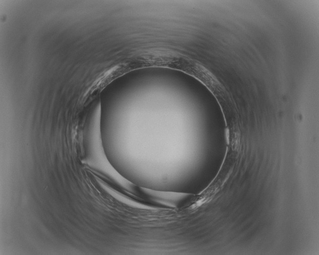 X0000083601108200702231739