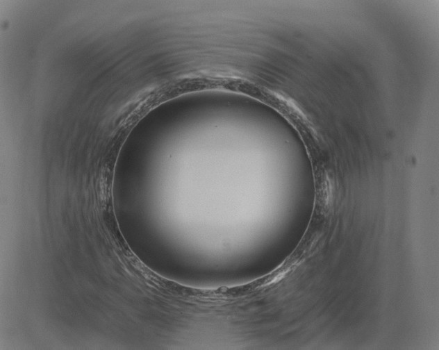 X0000083601110200702231739