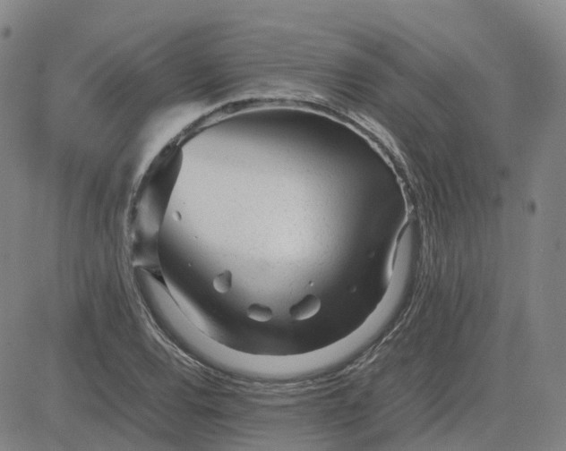 X0000083601120200702231739