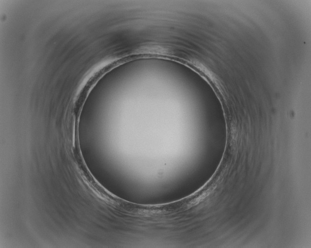 X0000083601123200702231739