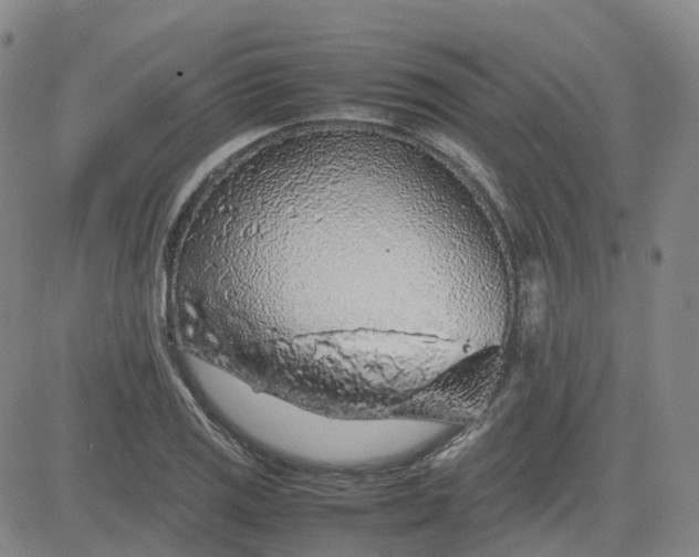 X0000083601125200702231739