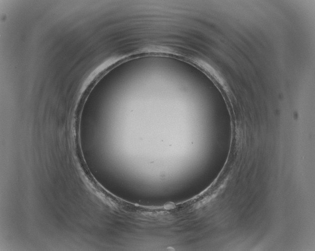 X0000083601133200702231740