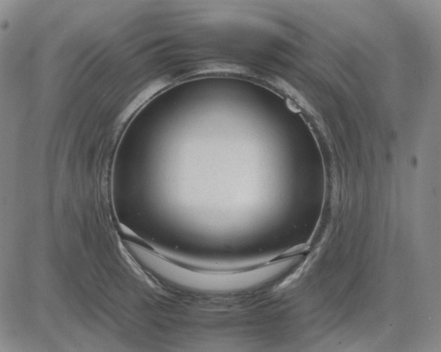 X0000083601137200702231740