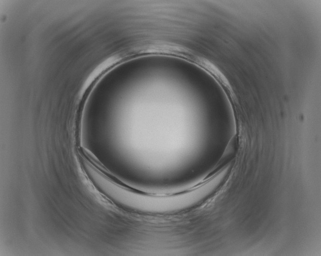 X0000083601138200702231740