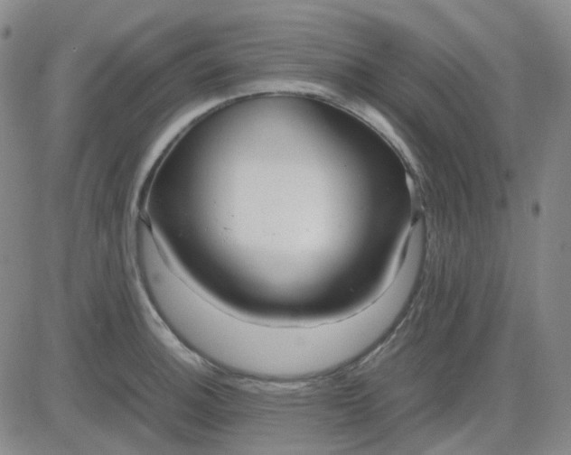 X0000083601140200702231740