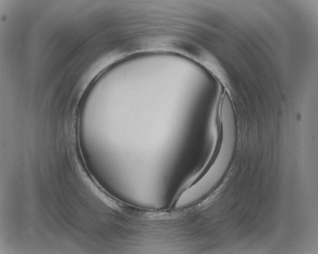 X0000083601142200702231740