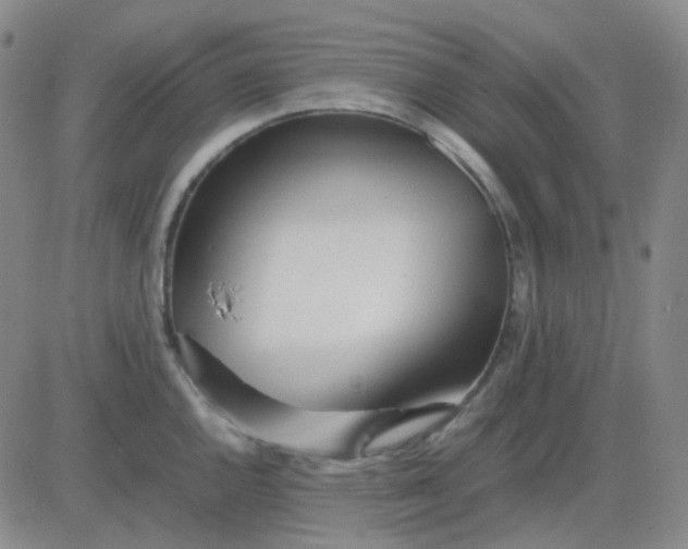 X0000083601144200702231740