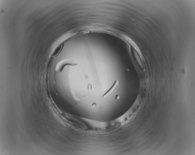 X0000083601146200702231740
