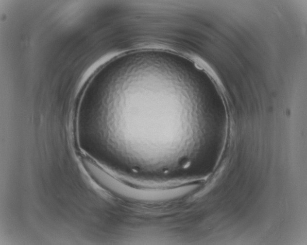 X0000083601149200702231740