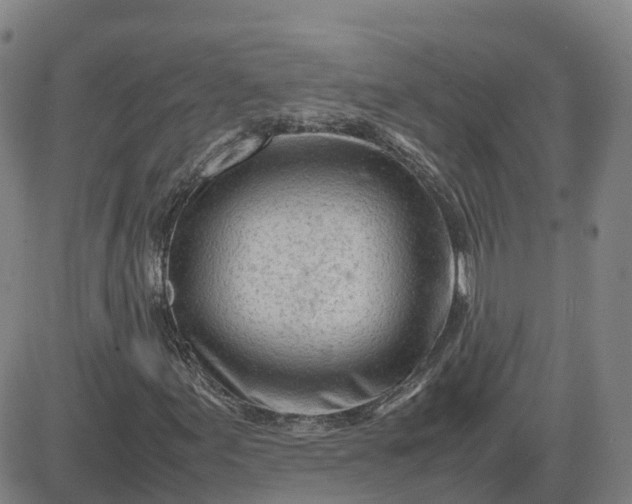 X0000083601155200702231739
