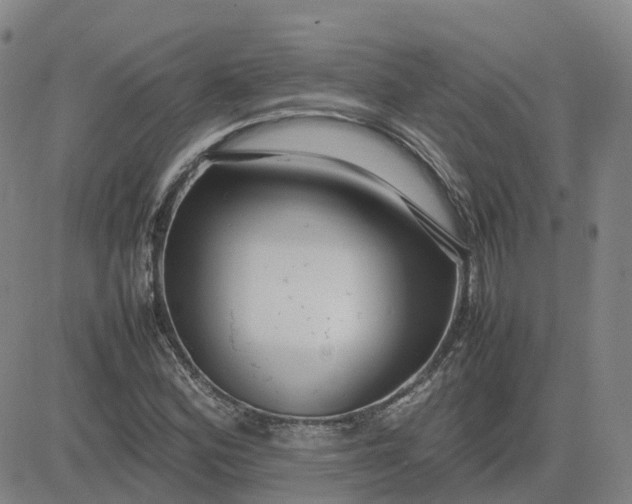 X0000083601164200702231739