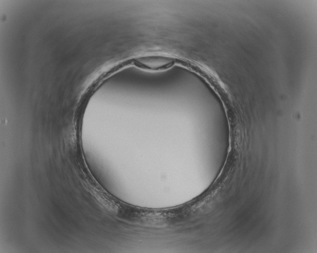 X0000083601167200702231739