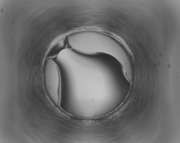 X0000083601176200702231739