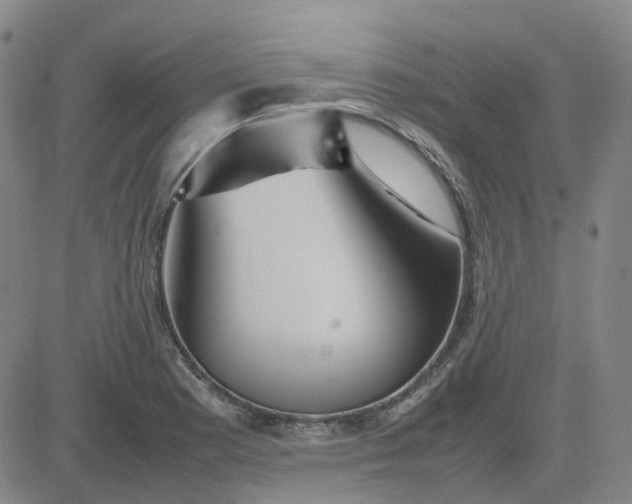 X0000083601177200702231739